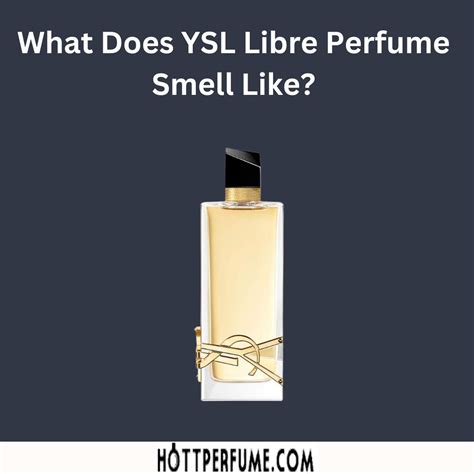 ysl perfume near me|what does ysl smell like.